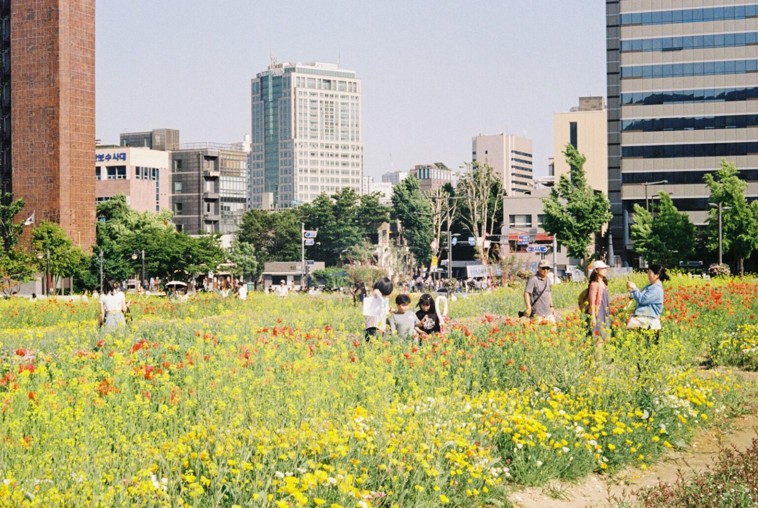 a group of people standing in a field of flowers